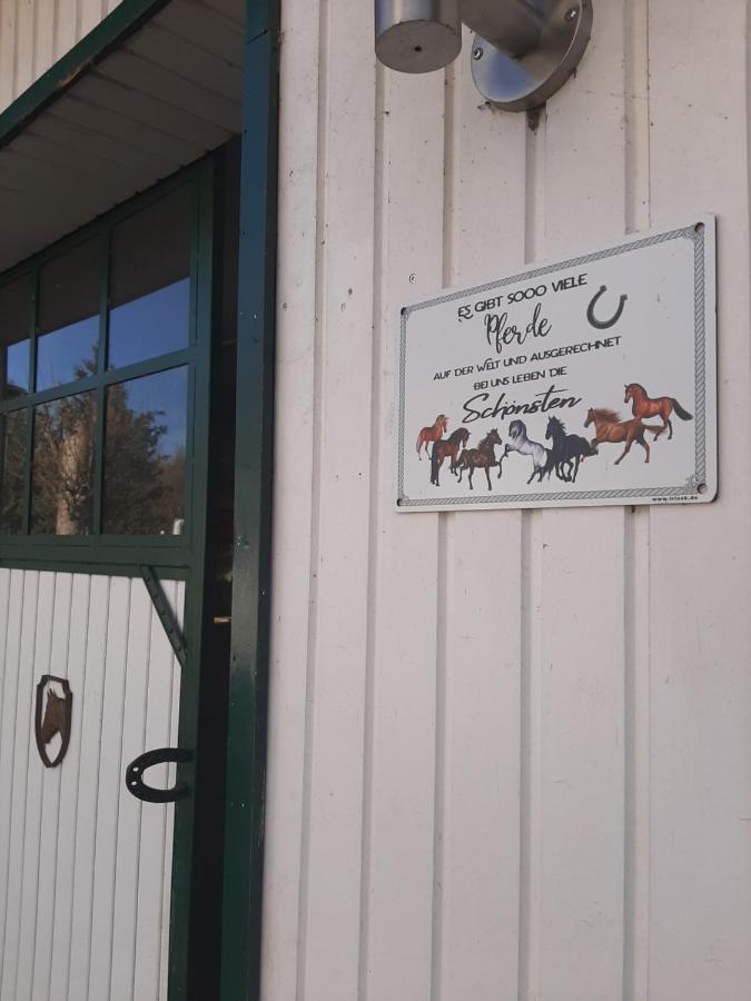 Der Perfekte Ausgangspunkt Apartman Konigerode Kültér fotó
