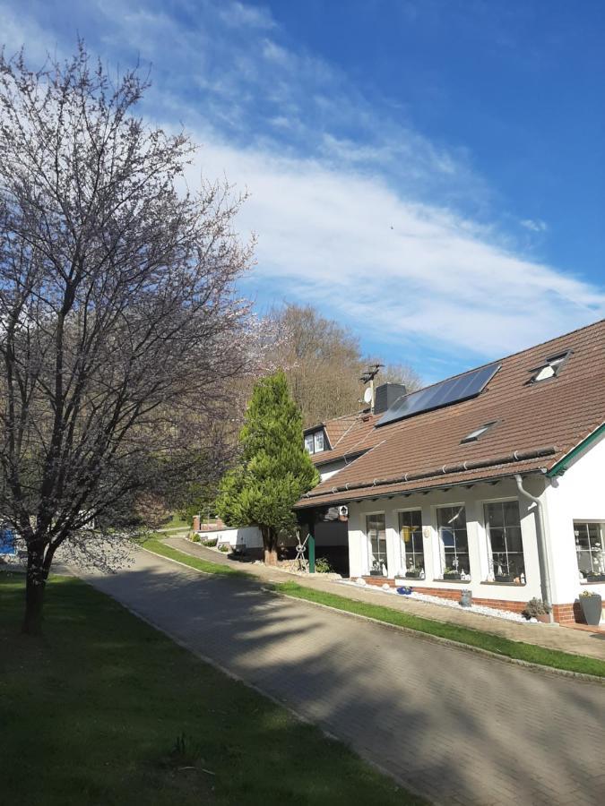 Der Perfekte Ausgangspunkt Apartman Konigerode Kültér fotó