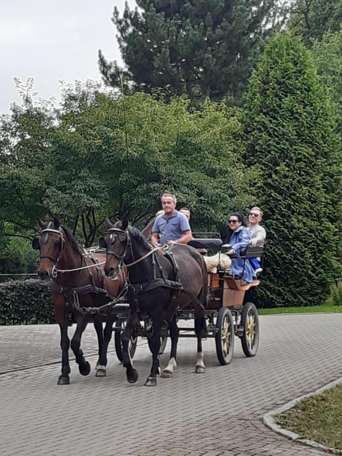 Der Perfekte Ausgangspunkt Apartman Konigerode Kültér fotó