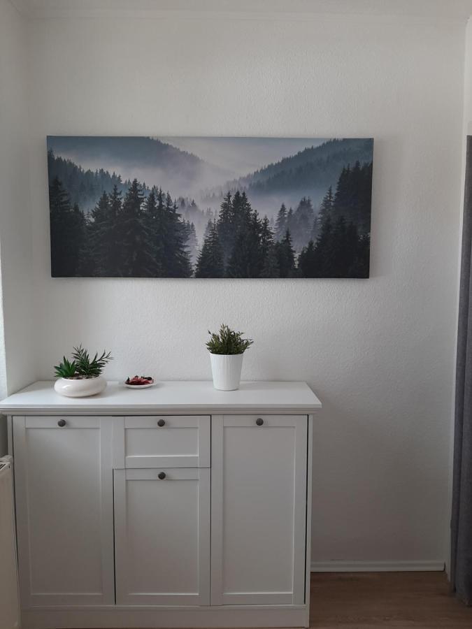 Der Perfekte Ausgangspunkt Apartman Konigerode Kültér fotó